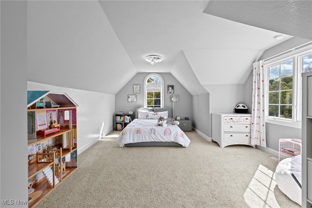 39565 Patterson Lane Solon OH 44139