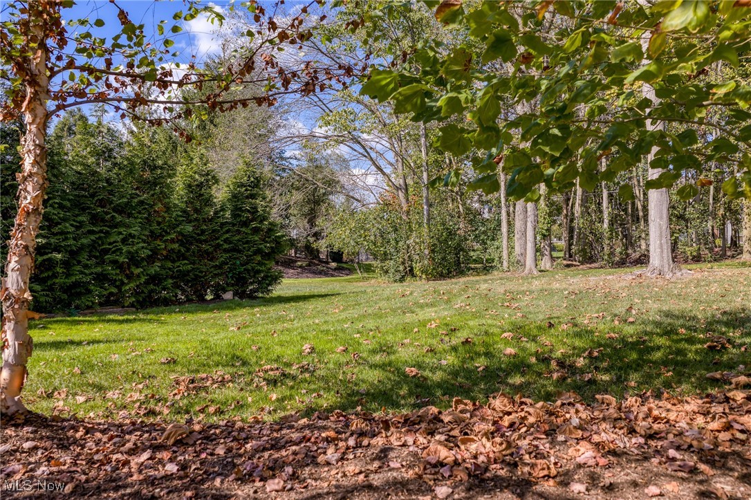 39565 Patterson Lane Solon OH 44139