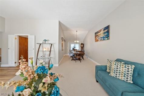 111 Edgefield Drive Elyria OH 44035