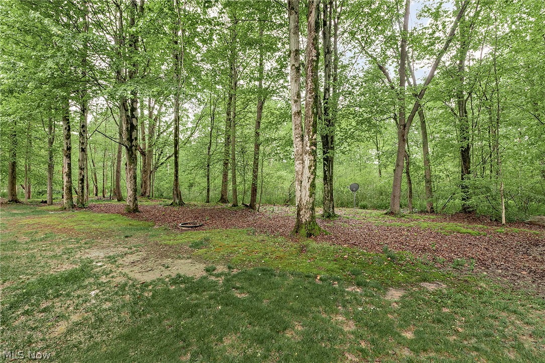 16820 Staffordshire Court Chagrin Falls OH 44023