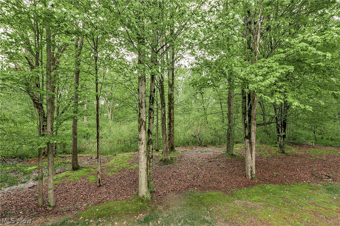 16820 Staffordshire Court Chagrin Falls OH 44023