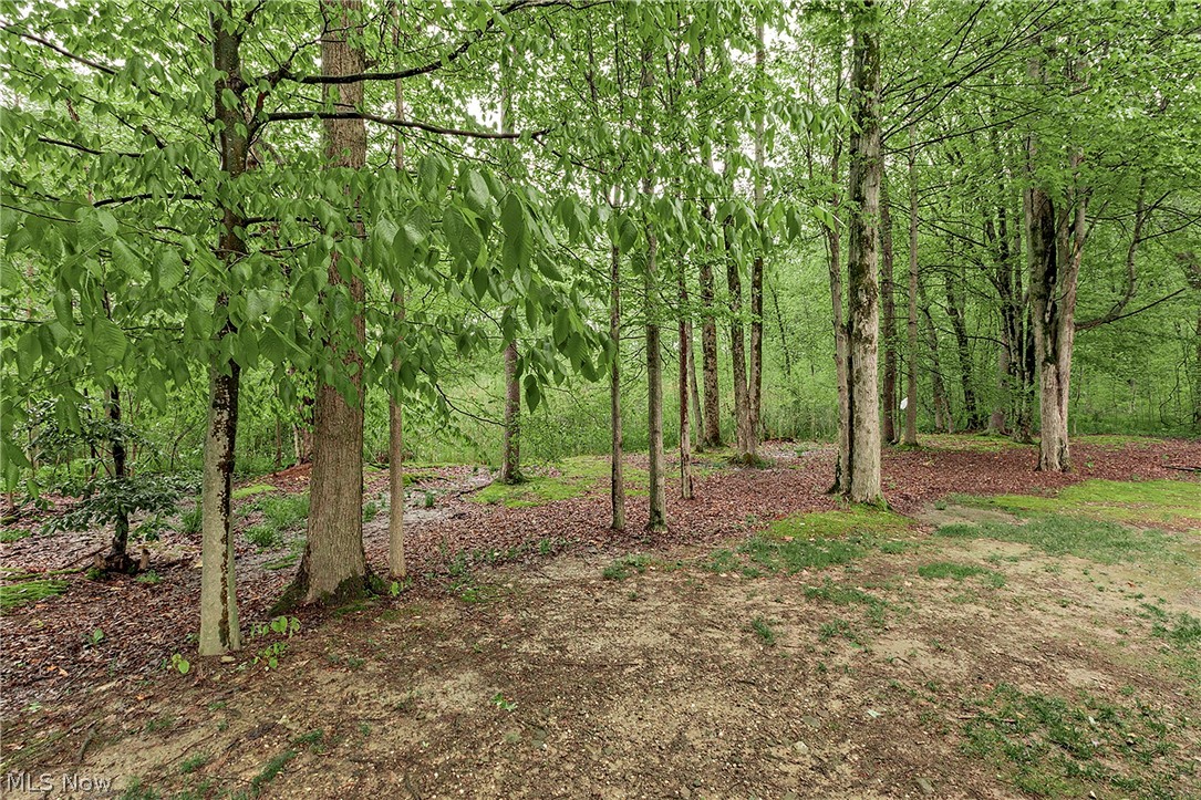 16820 Staffordshire Court Chagrin Falls OH 44023