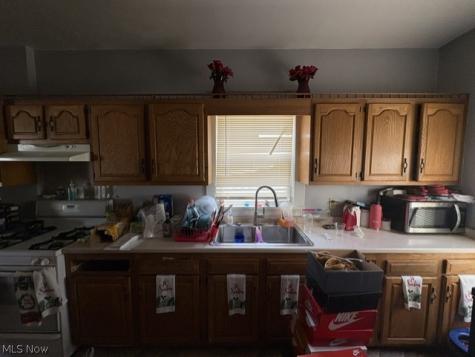 Silliman Street Youngstown OH 44509