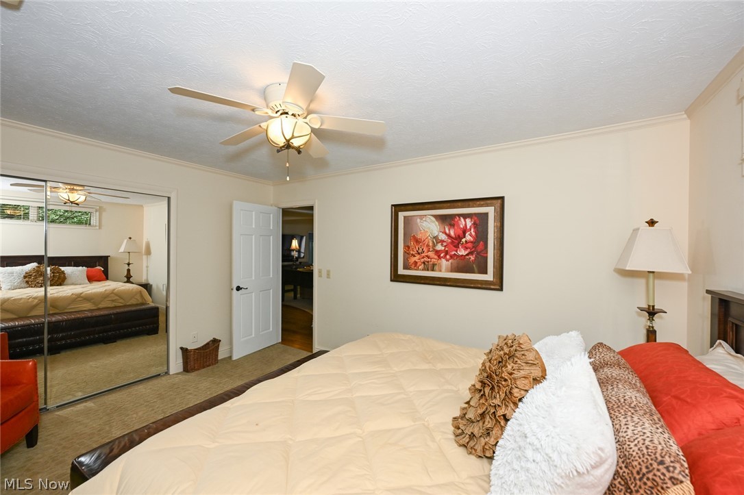 11197 Arrowhead Drive Grafton OH 44044