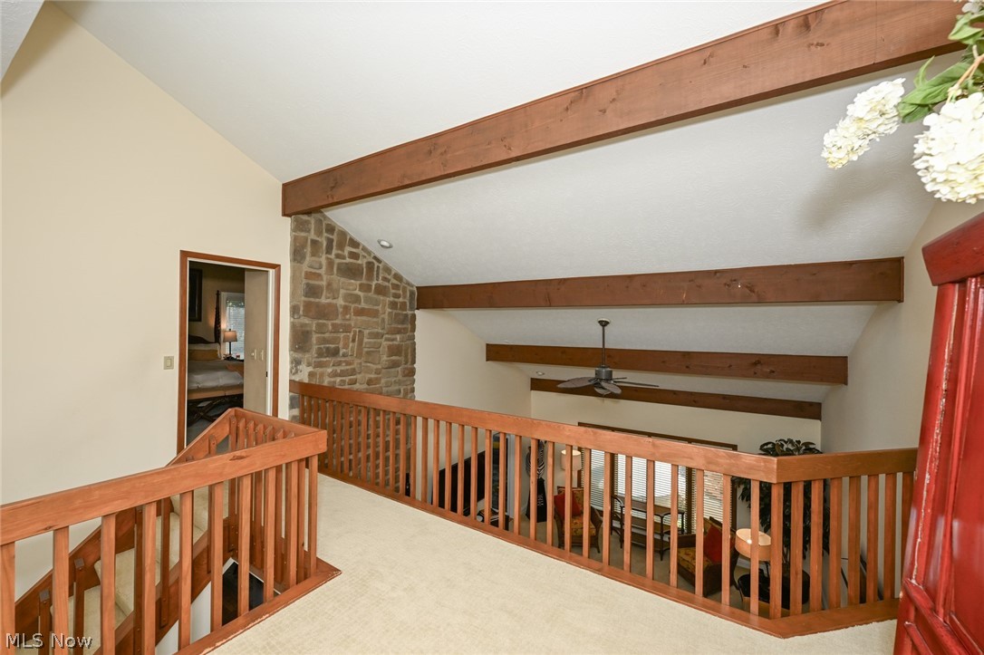 11197 Arrowhead Drive Grafton OH 44044