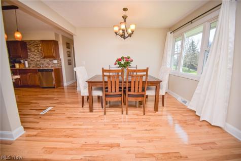 4628 Wolff Drive Brunswick OH 44212