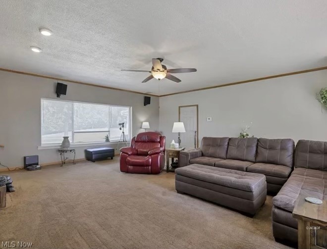 3601 Coolville Station Road Coolville OH 45723