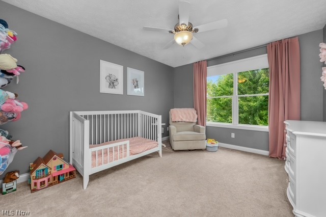 1359 Rome Circle Broadview Heights OH 44147