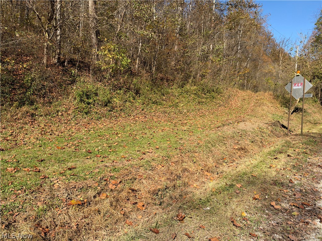 41382 Mechanicsburg Road Woodsfield OH 43793