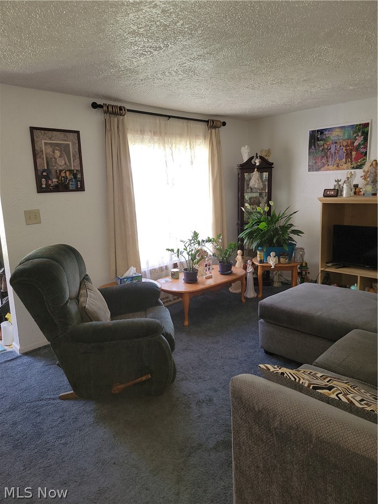 498 Walnut Street Conneaut OH 44030