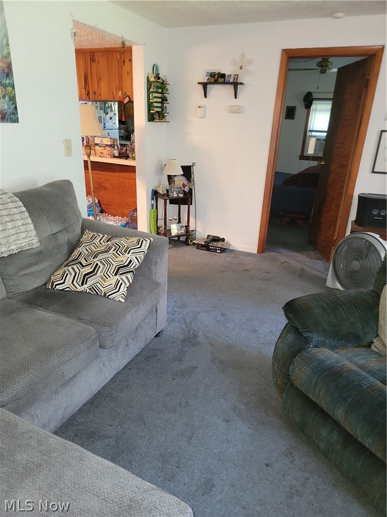 498 Walnut Street Conneaut OH 44030