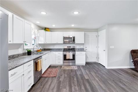 39422 Chestnut Ridge Road Elyria OH 44035