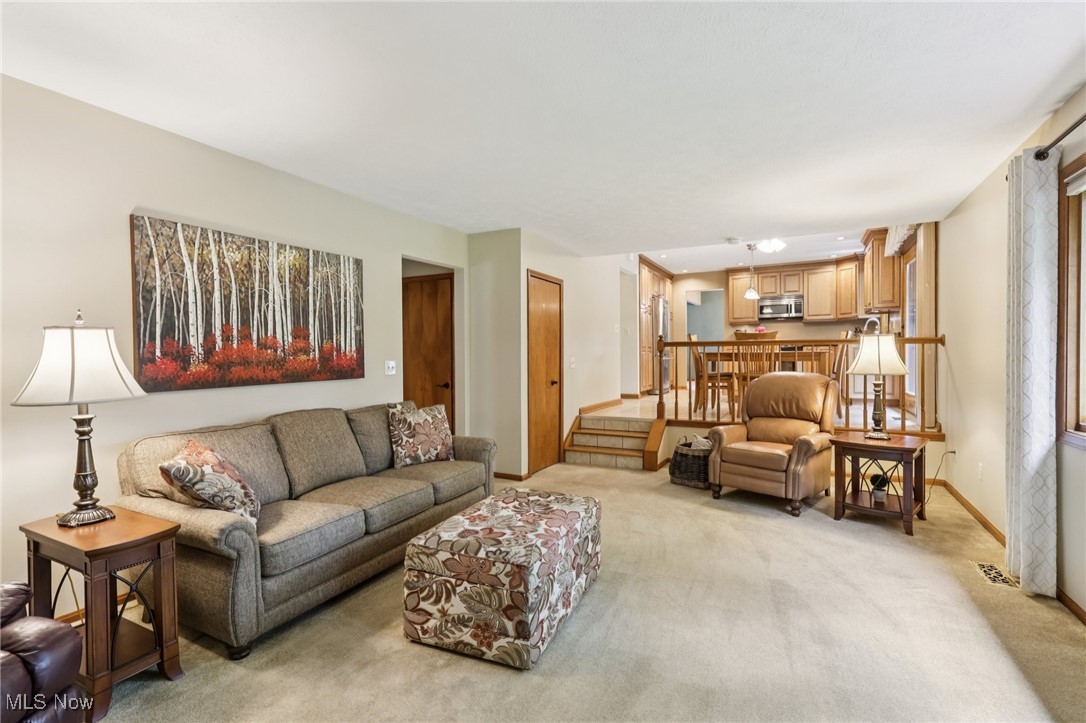 9841 Beechwood Drive North Royalton OH 44133