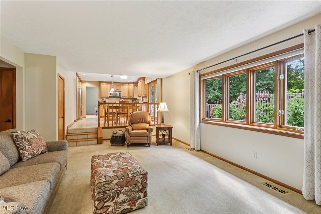 9841 Beechwood Drive North Royalton OH 44133