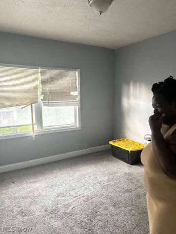 10824 Bryant Avenue Cleveland OH 44108