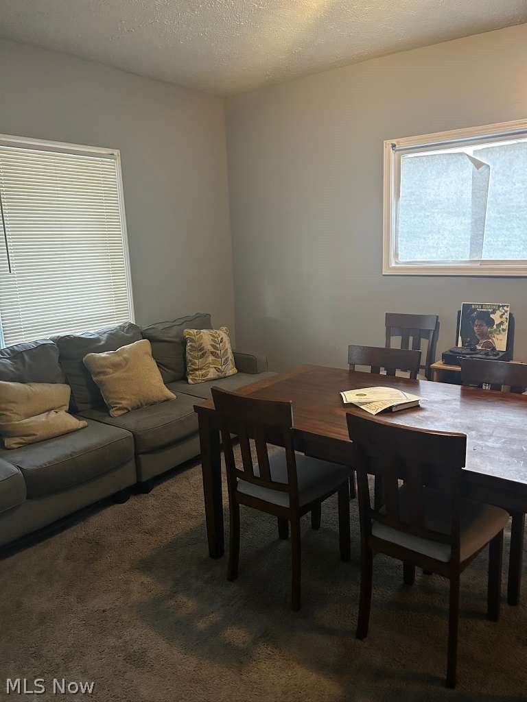 10824 Bryant Avenue Cleveland OH 44108