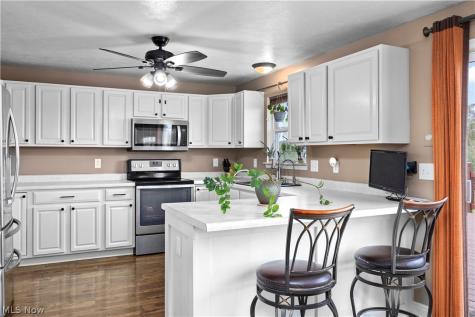 9742 Firestone Road Homerville OH 44235