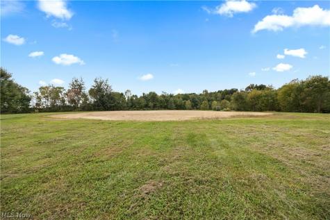 9742 Firestone Road Homerville OH 44235
