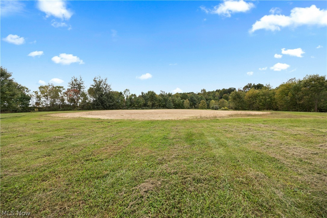 9742 Firestone Road Homerville OH 44235