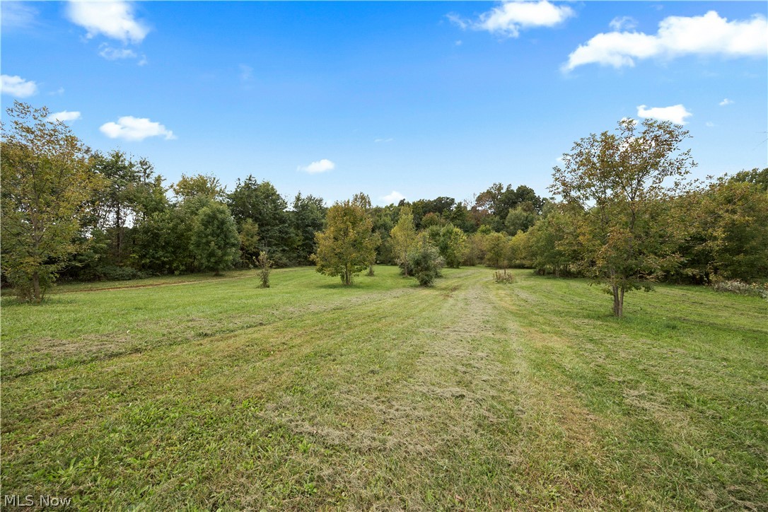 9742 Firestone Road Homerville OH 44235