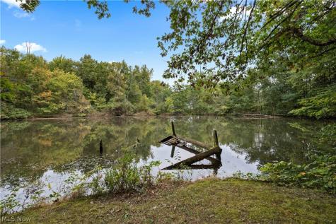 9742 Firestone Road Homerville OH 44235