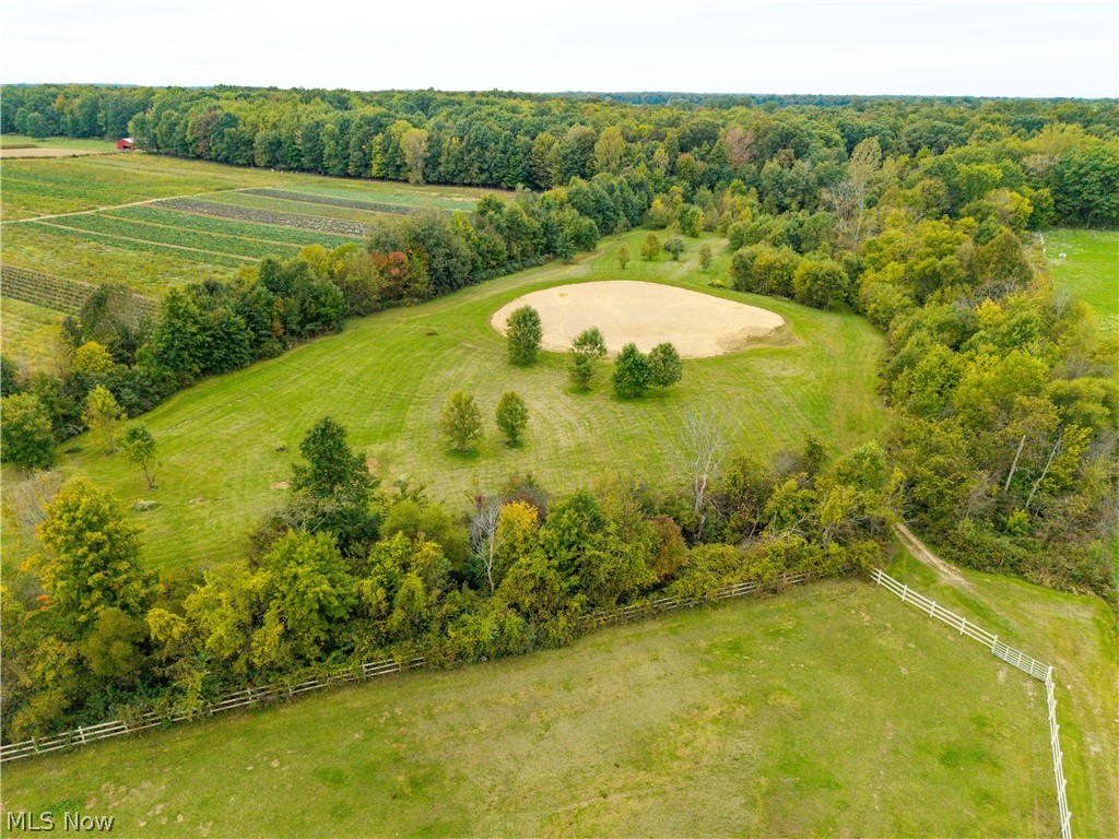 9742 Firestone Road Homerville OH 44235