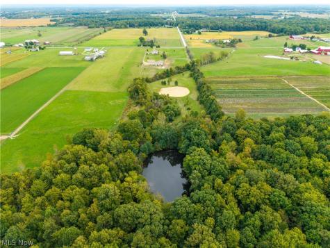 9742 Firestone Road Homerville OH 44235
