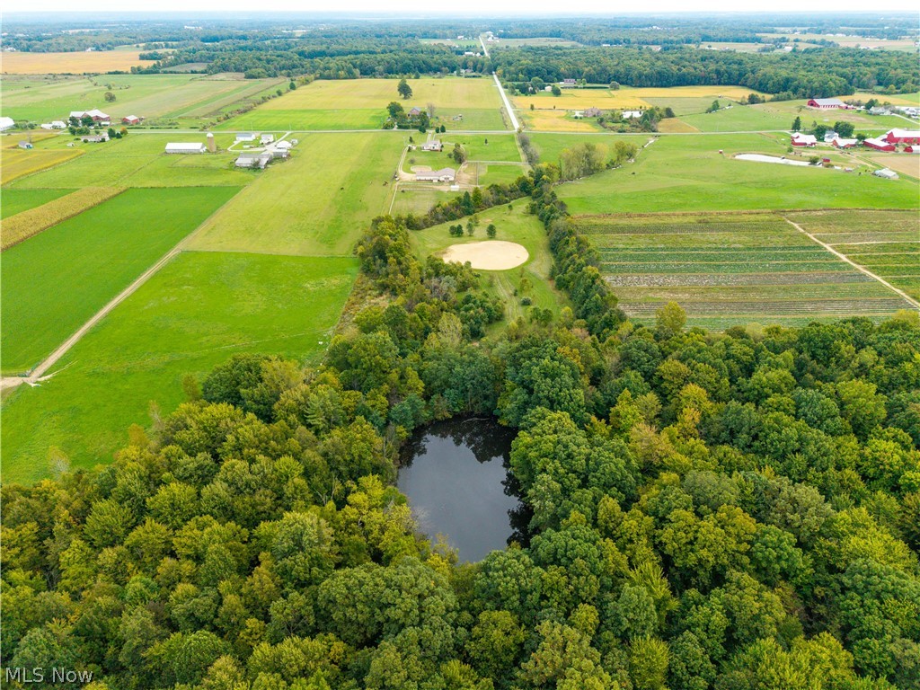 9742 Firestone Road Homerville OH 44235