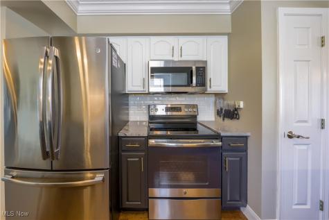 1462 Hollow Wood Lane Avon OH 44011