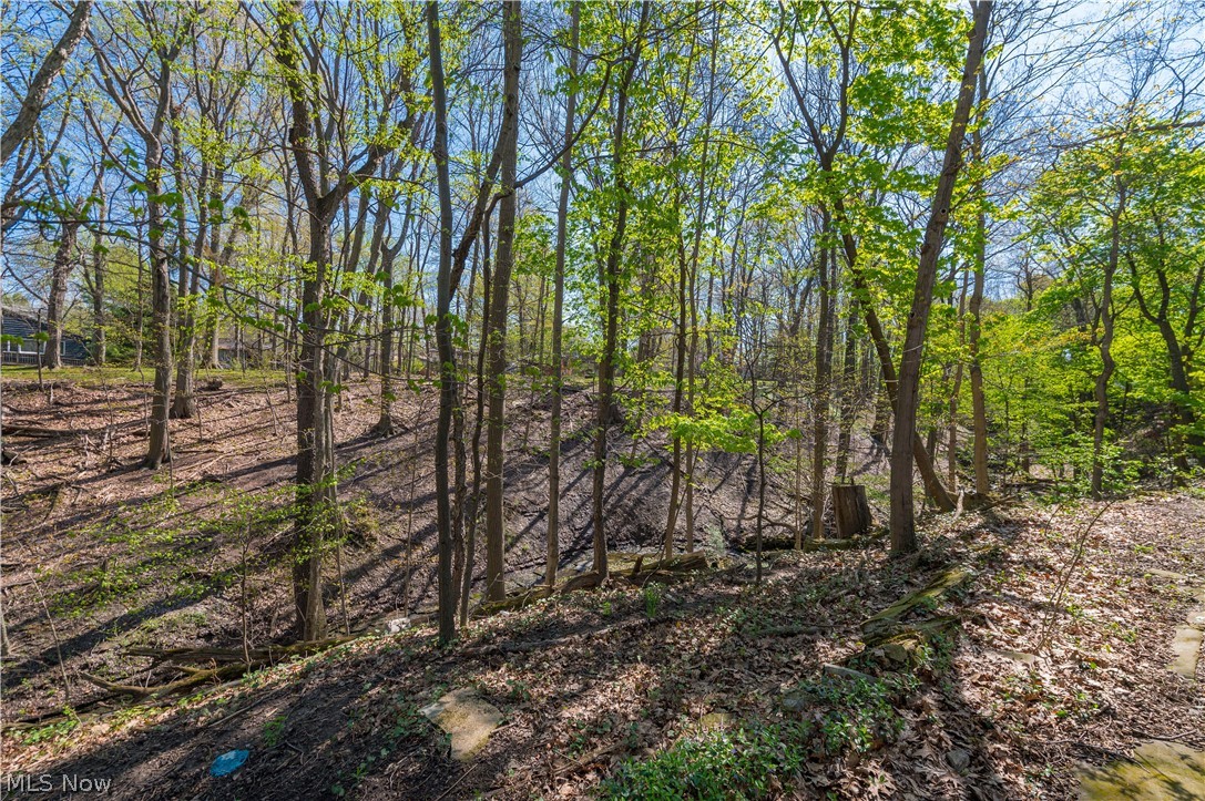 3675 Randolph Road Cleveland Heights OH 44121