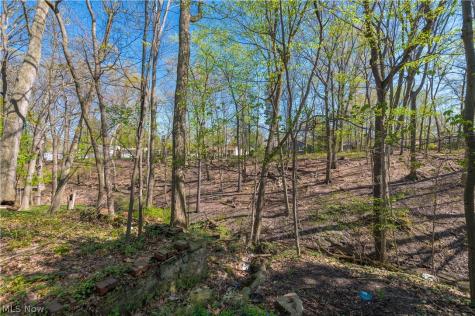 3675 Randolph Road Cleveland Heights OH 44121