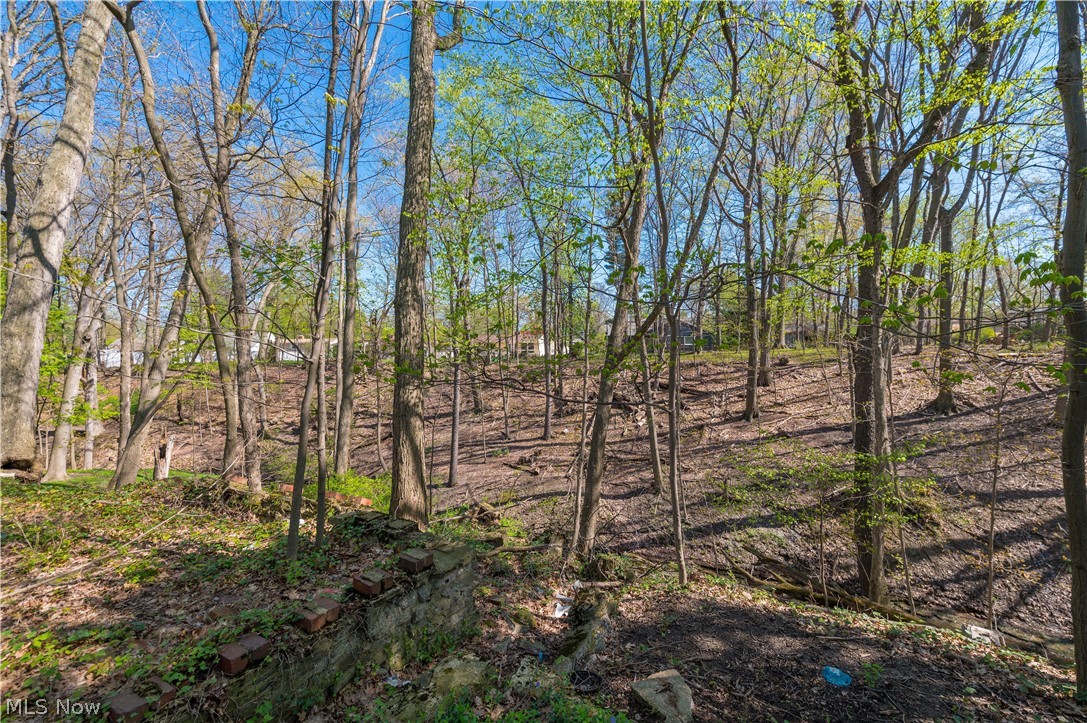 3675 Randolph Road Cleveland Heights OH 44121