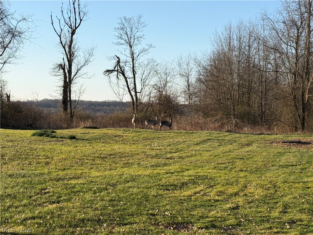 36261 Butcher Road Salem OH 44460