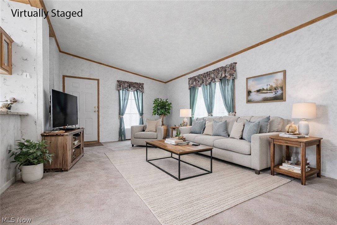 228 Troy Oaks Drive Hiram OH 44234