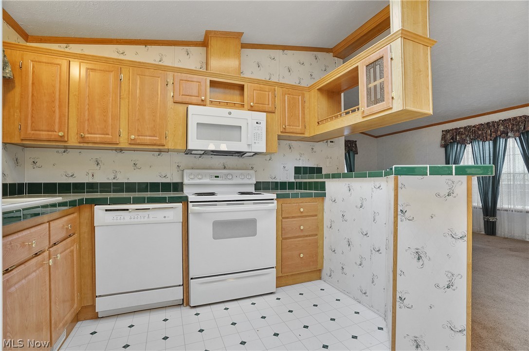 228 Troy Oaks Drive Hiram OH 44234