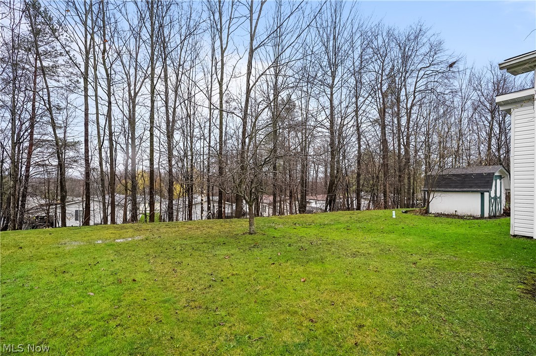 228 Troy Oaks Drive Hiram OH 44234