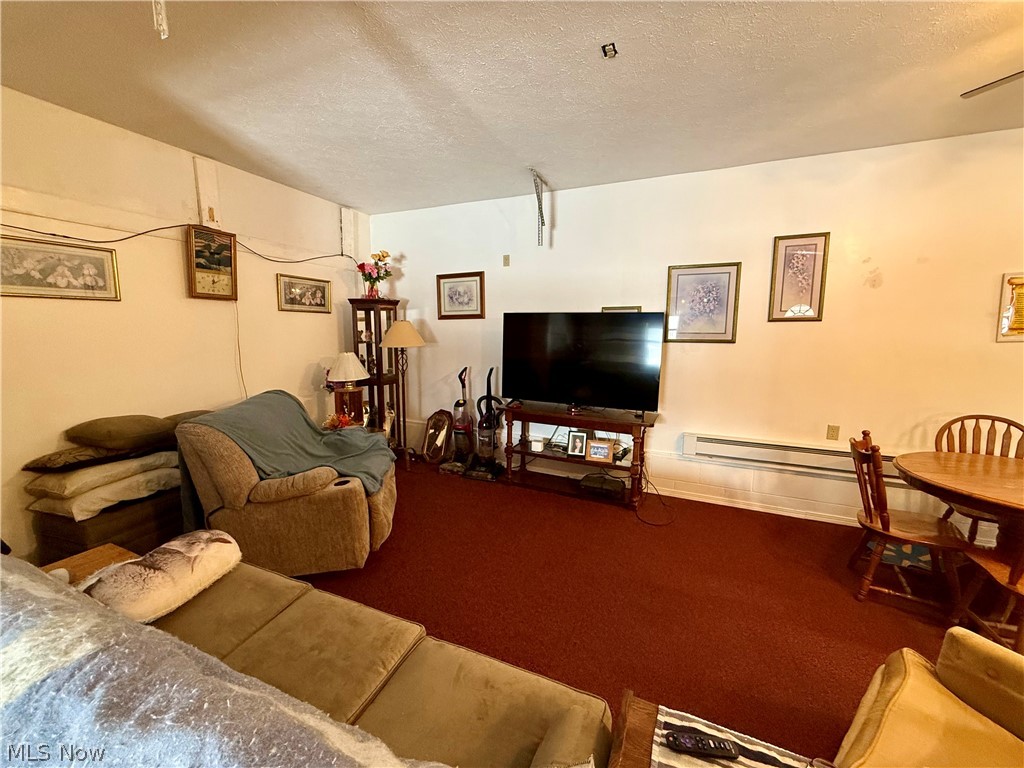 47 Township Road 273a Amsterdam OH 43903