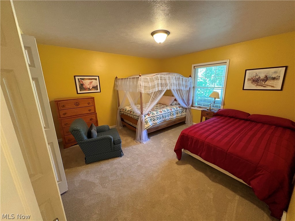 1047 Lode Star Drive Roaming Shores OH 44085