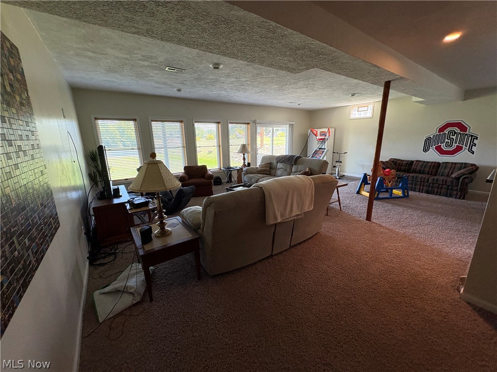 1047 Lode Star Drive Roaming Shores OH 44085