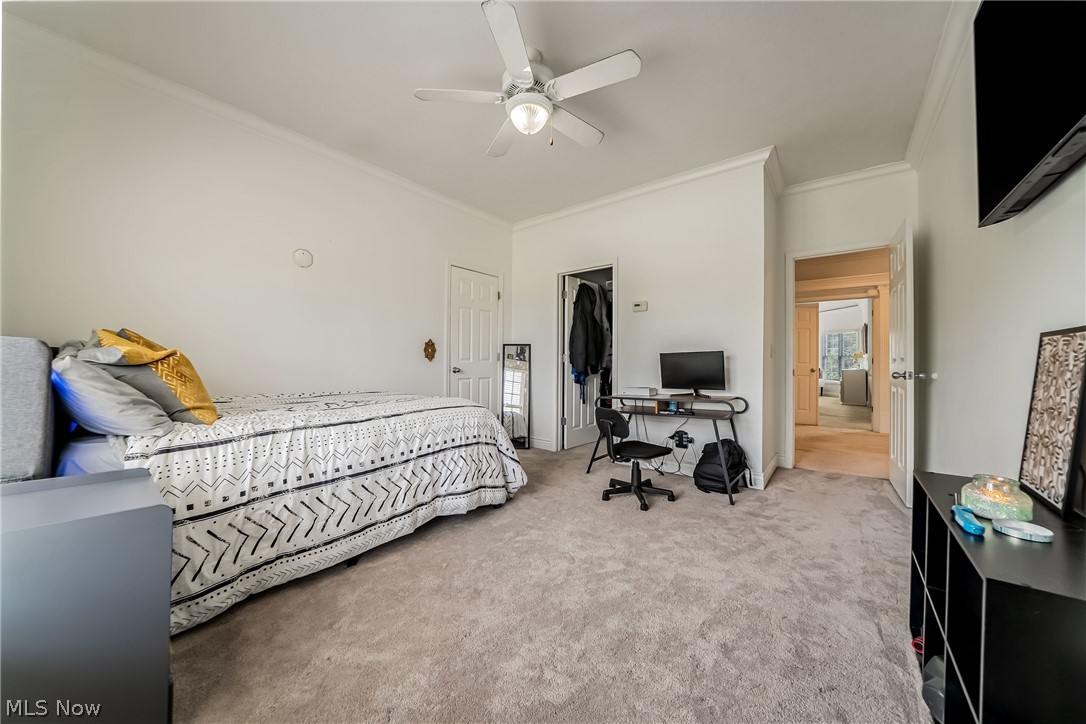 915 Creek View Drive Aurora OH 44202