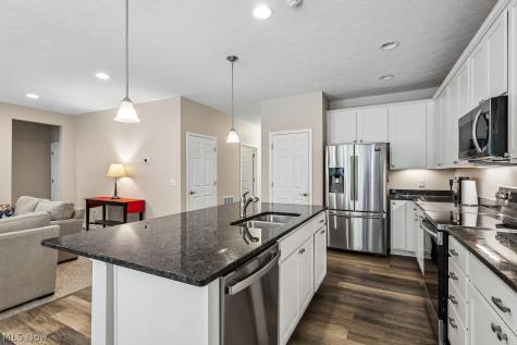 3862 Heron Drive Lorain OH 44053