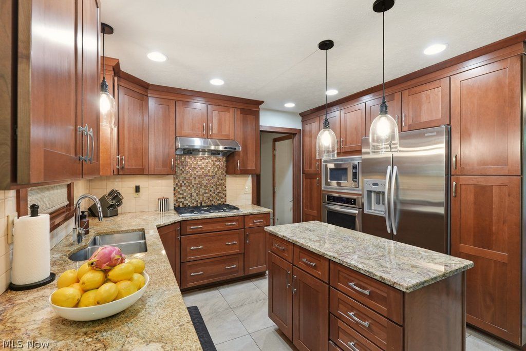 1287 Red Bush Lane Macedonia OH 44056