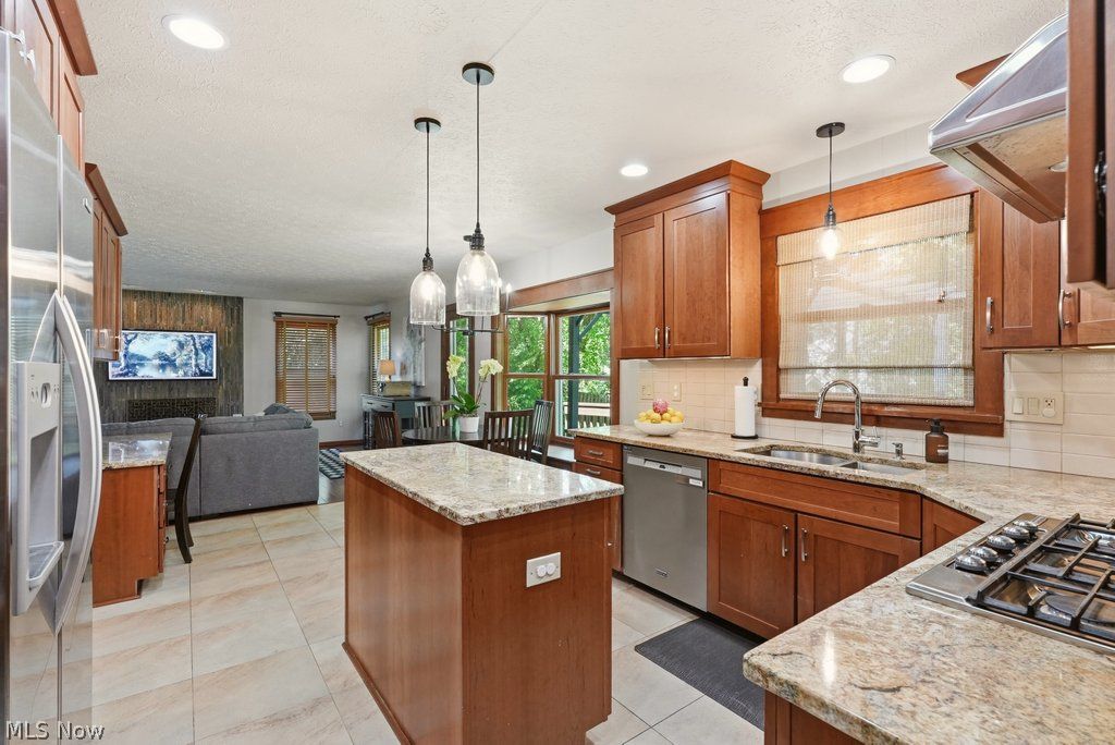 1287 Red Bush Lane Macedonia OH 44056