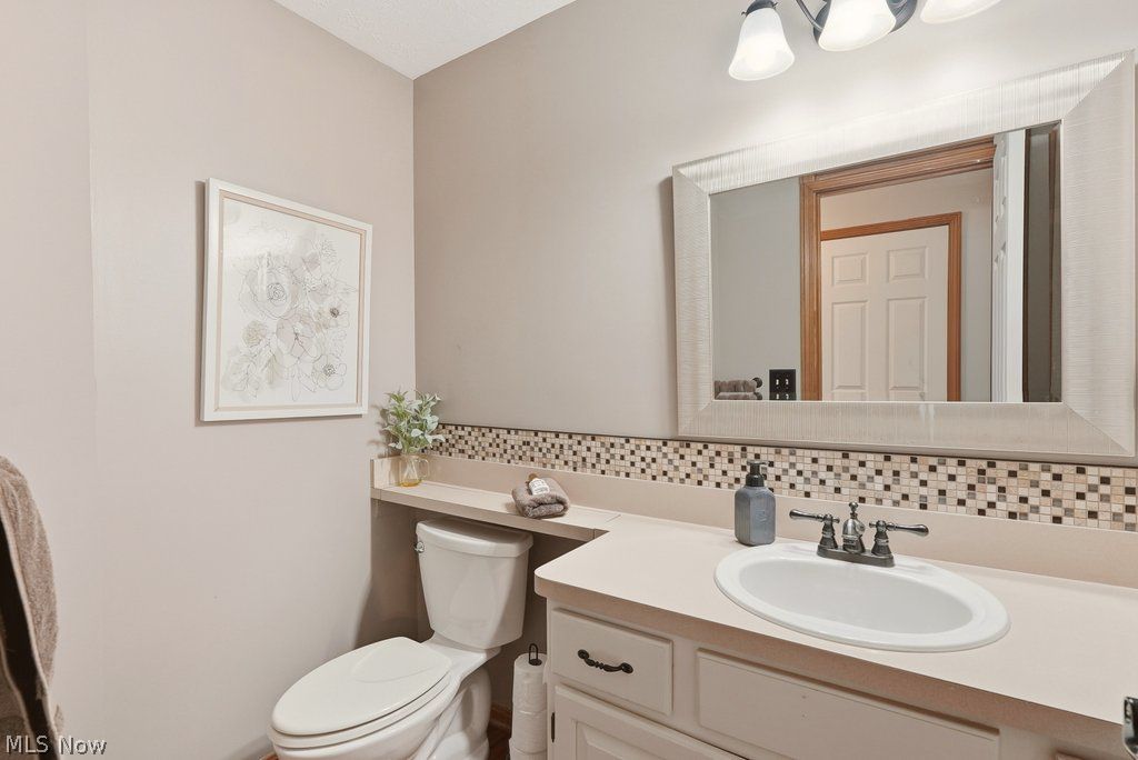 1287 Red Bush Lane Macedonia OH 44056