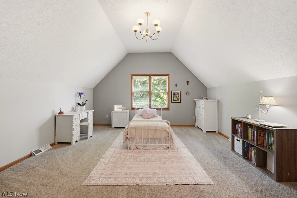 1287 Red Bush Lane Macedonia OH 44056