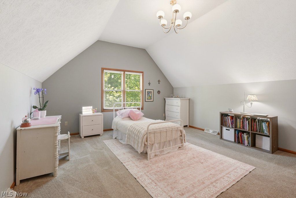 1287 Red Bush Lane Macedonia OH 44056