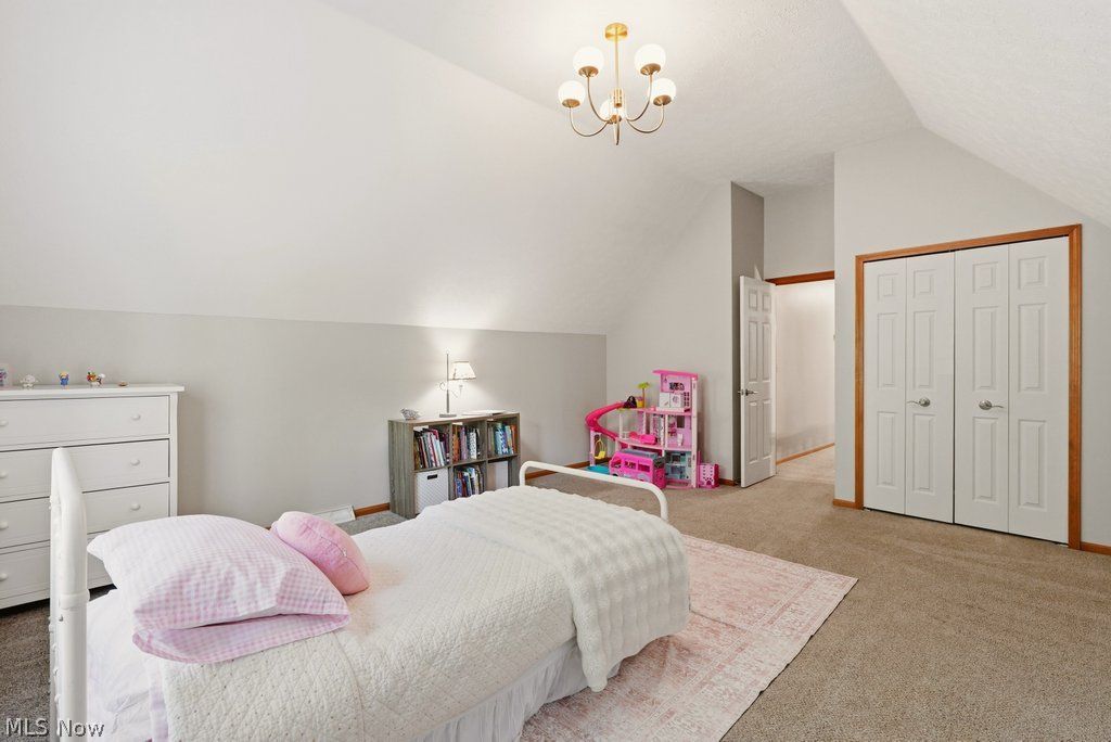 1287 Red Bush Lane Macedonia OH 44056