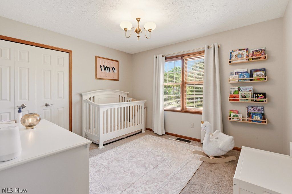 1287 Red Bush Lane Macedonia OH 44056