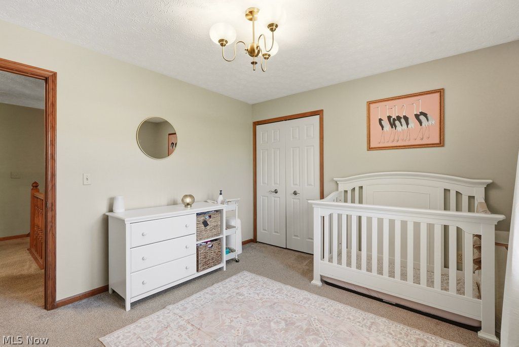 1287 Red Bush Lane Macedonia OH 44056
