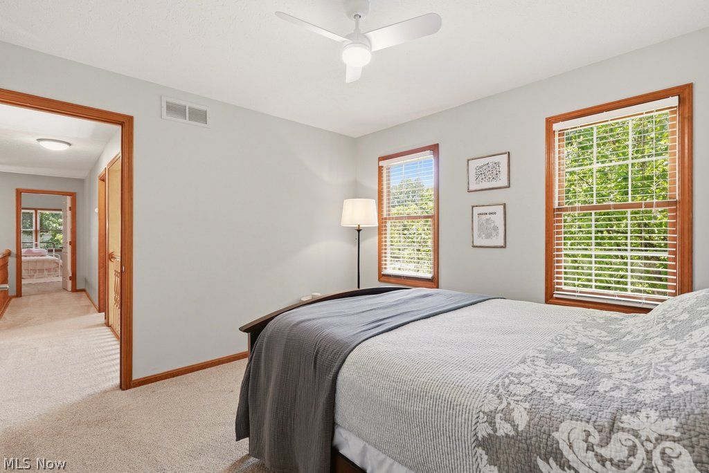 1287 Red Bush Lane Macedonia OH 44056